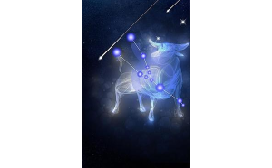 金牛座魔蝎愛(ài)跳舞嗎