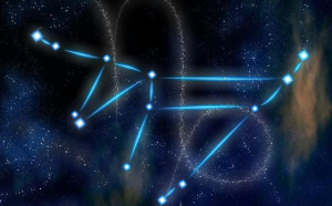 摩羯座算土星么嗎女生怎么樣