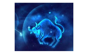 金牛座能頻繁發(fā)信息嗎男生