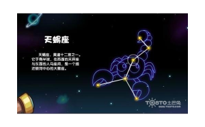 天蝎座還能復(fù)合嗎女生性格