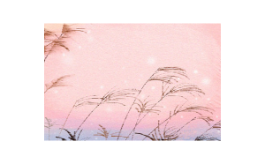 水瓶座不喜歡規(guī)劃的男生嗎