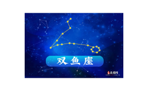 雙魚座只適合雙魚座嗎女生