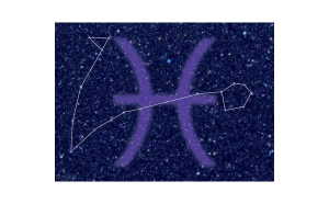 要主動跟雙魚座復(fù)合嗎女生