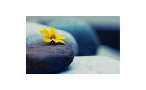 水瓶座喜歡坐飛機嗎男生