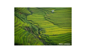 獅子座朋友圈會(huì)點(diǎn)贊嗎男生