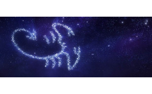 不熟悉的天蝎座男生會(huì)主動(dòng)嗎