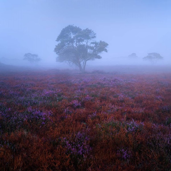 雙子座的雙重面具：表面與背后的真相