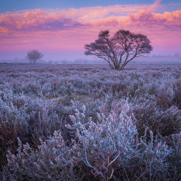 獅子座跟雙子座適合嗎男生 