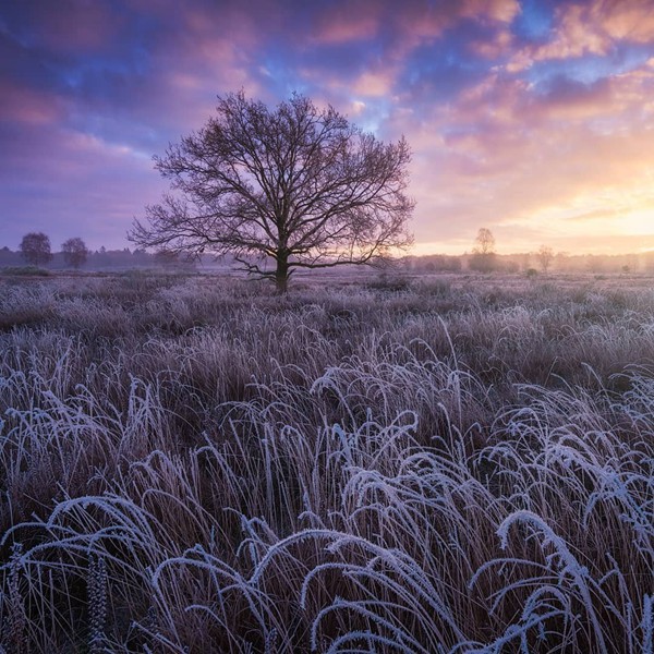 7月17日什么太陽星座