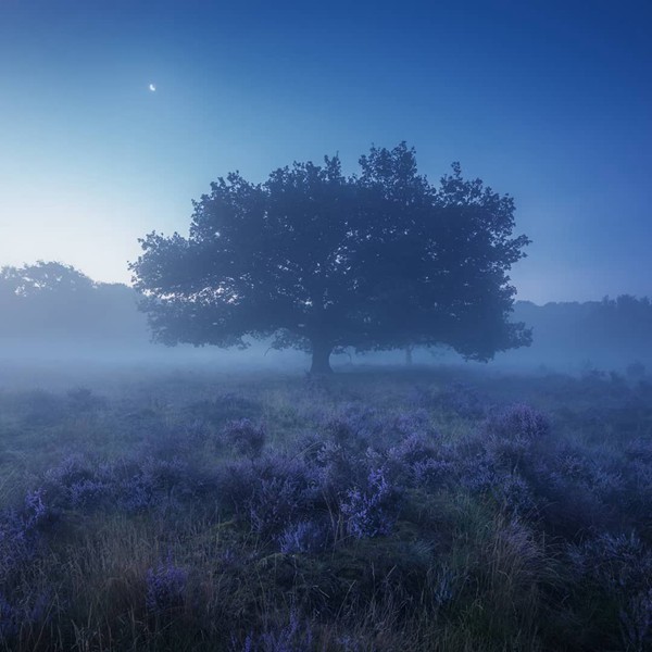摩羯座能制服雙子嗎男 