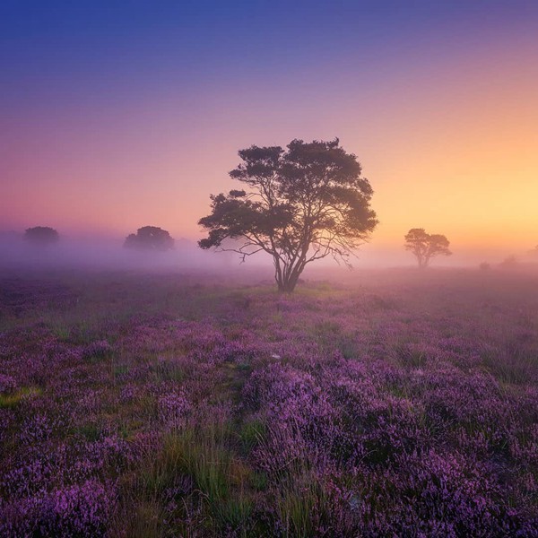 金牛座男生說話真的損人心嗎？