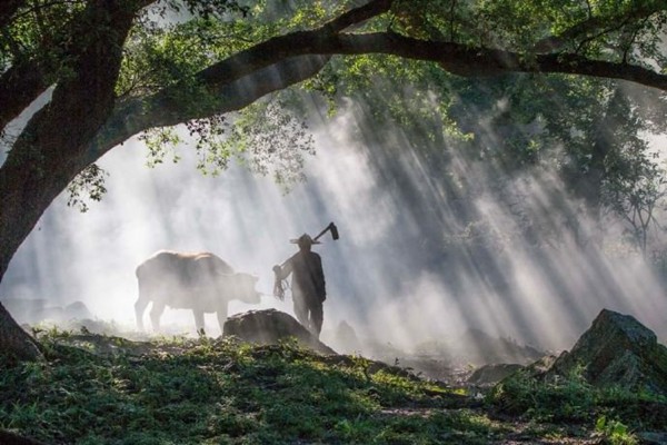 馬小喵：金牛座男人的溫柔與堅(jiān)持
