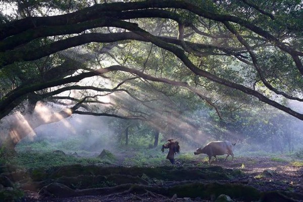 金牛座與天蝎座：星座間的微妙關(guān)系