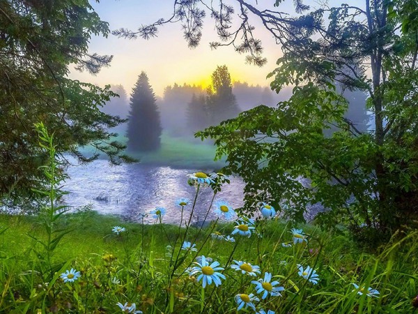 射手座女生追求金牛座男生：一場浪漫的追逐游戲