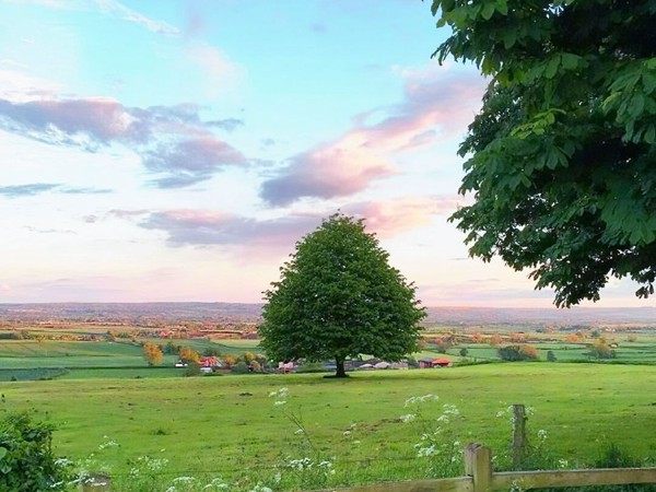 處女座可以忘掉前任嗎女生